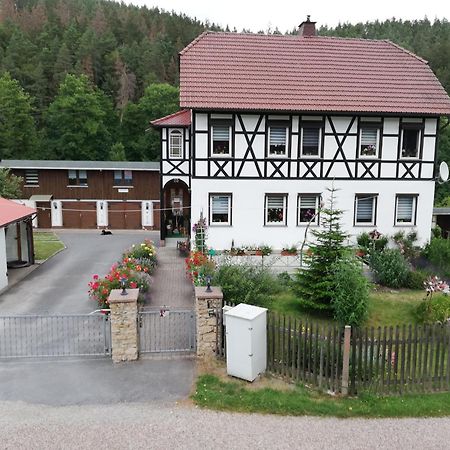 Fewo An Der Klosterruine Paulinzella Mit Kostenfreien Parkplatz Und Wlan エクステリア 写真