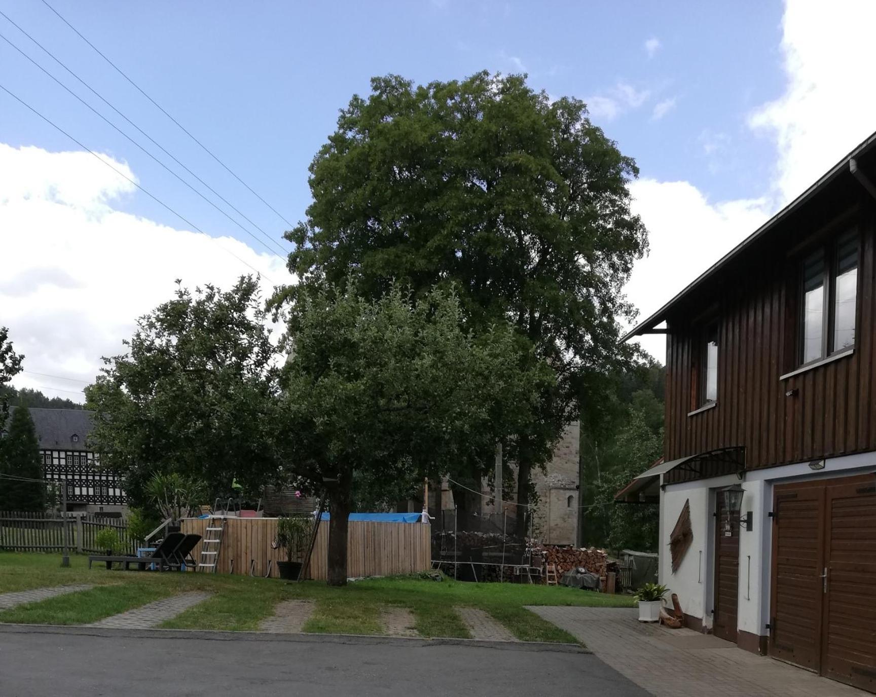 Fewo An Der Klosterruine Paulinzella Mit Kostenfreien Parkplatz Und Wlan エクステリア 写真