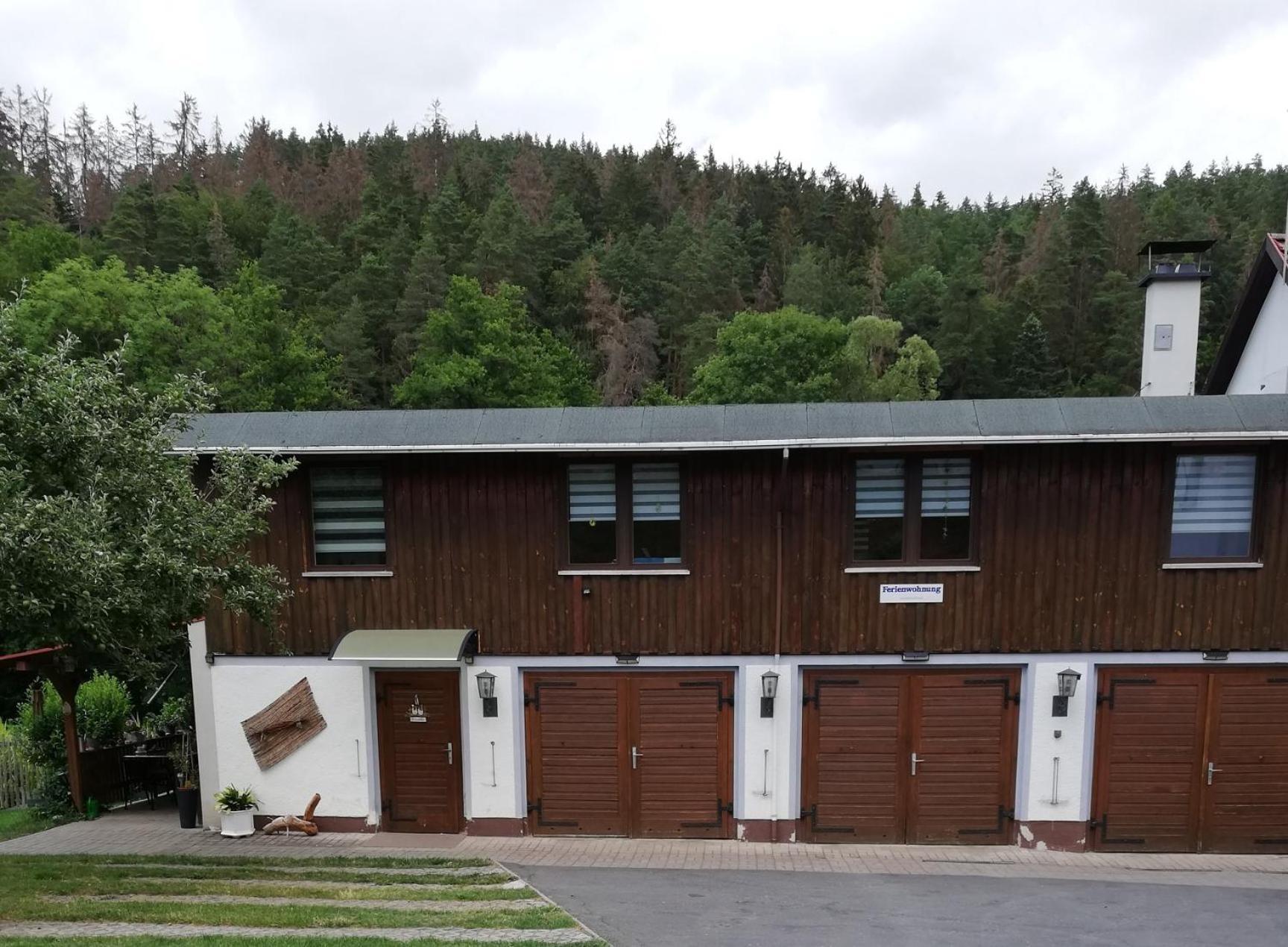 Fewo An Der Klosterruine Paulinzella Mit Kostenfreien Parkplatz Und Wlan エクステリア 写真